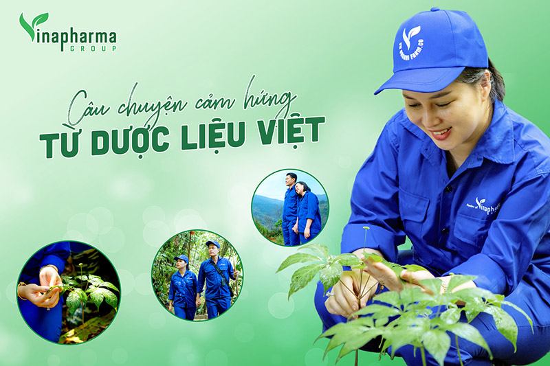 Sâm Ngọc Linh là niềm tự hào của Vinapharma - Group