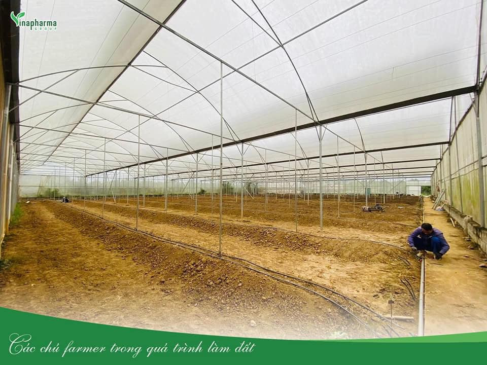 Vinapharma Group: Hành trình tạo nên cây cần tây đạt tiêu chuẩn hữu cơ trồng theo công nghệ cao Irasel 4 unnamed 2