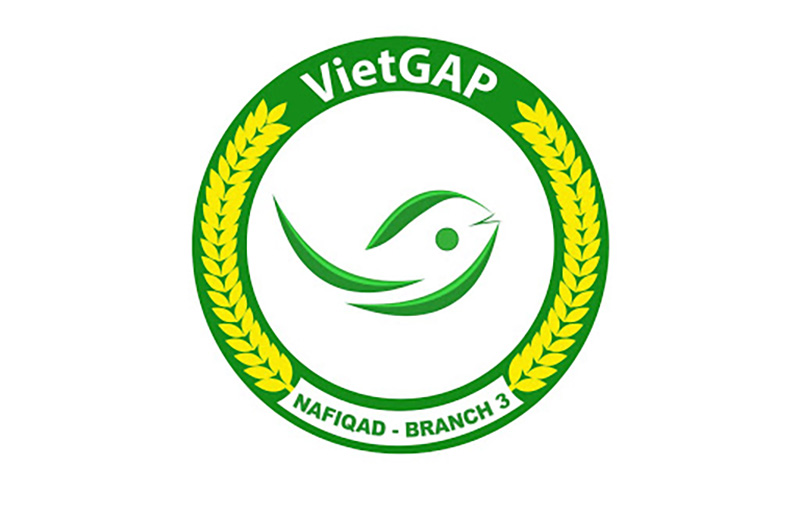 Tiêu chuẩn VietGAP - giải pháp nâng cao chất lượng nông sản Việt Nam
